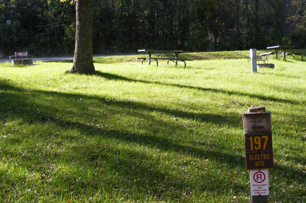 Campsite 197 in Marble Beach State Park Campground at Marble Beach
